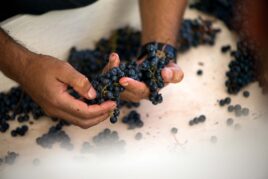 Russian River Valley Pinot Noir, Part 2, Mini-Vertical